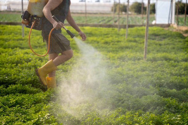 Best Pest Removal Services  in Hebron, NE